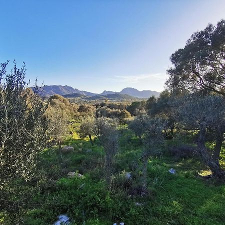 RudalzaCasa Mariposa Porto Rotondo别墅 外观 照片