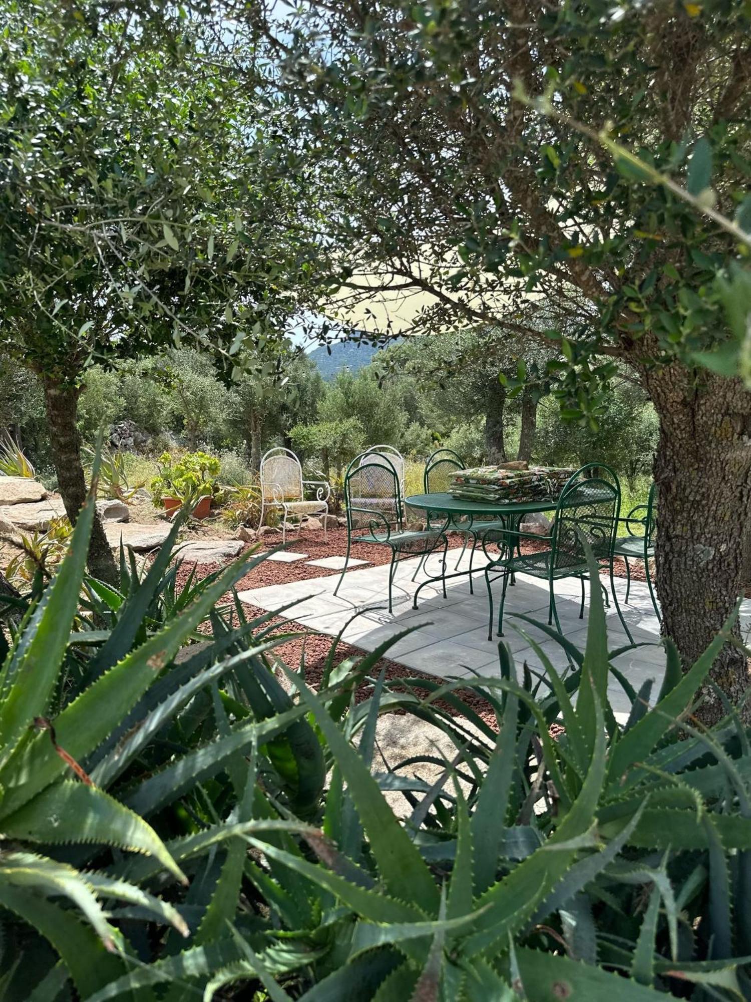 RudalzaCasa Mariposa Porto Rotondo别墅 外观 照片