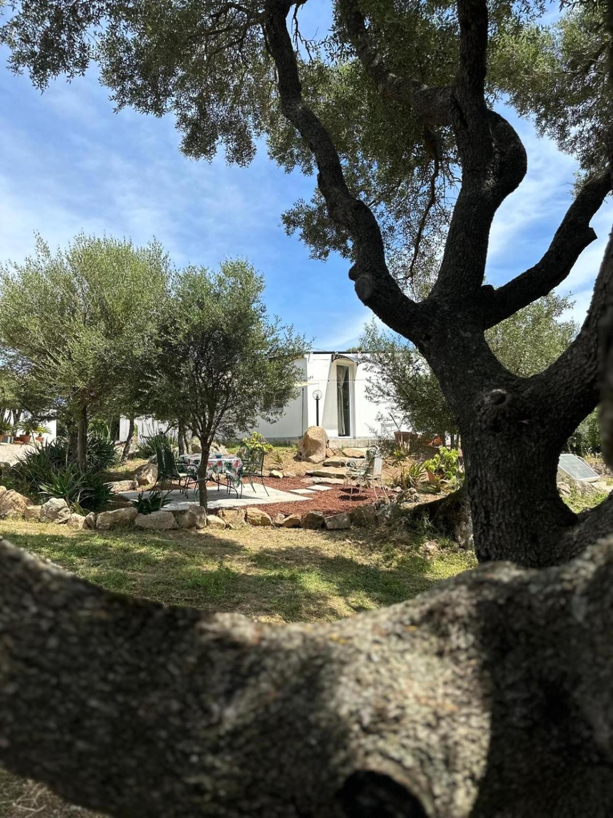 RudalzaCasa Mariposa Porto Rotondo别墅 外观 照片